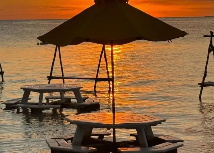 Cozy Secret Getaway W Pool Lizard Casita Apartamento *