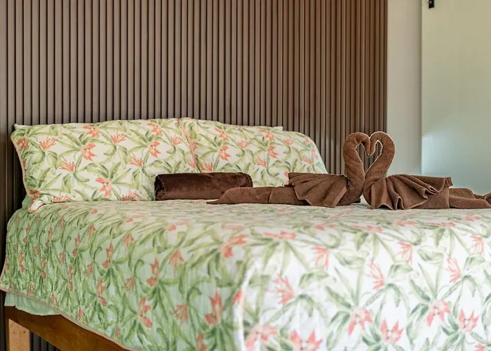 Cozy Secret Getaway W Pool Lizard Casita Apartment *
